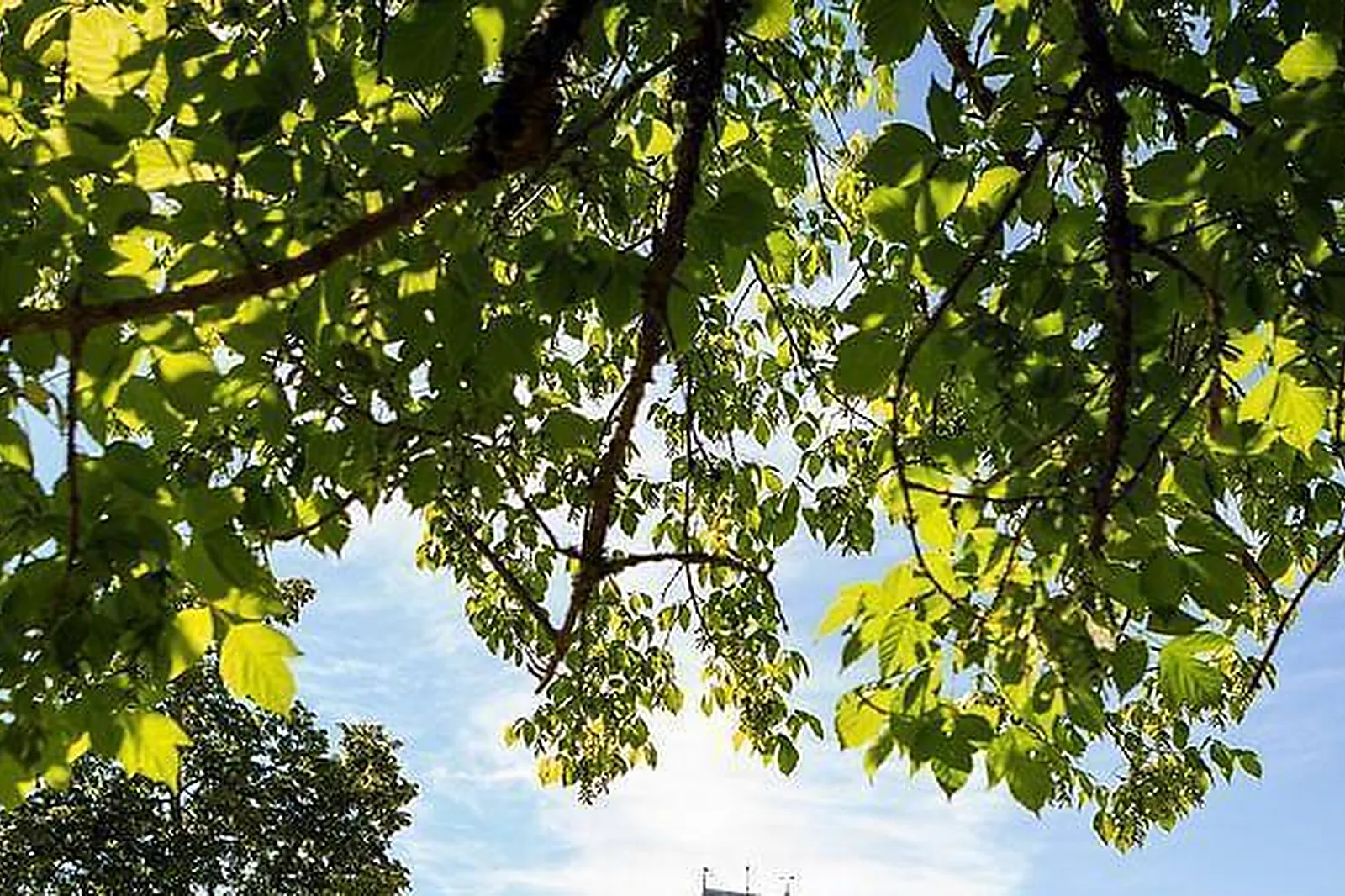 Lieux événementiels, CHÂTEAU DE LA LIGNE