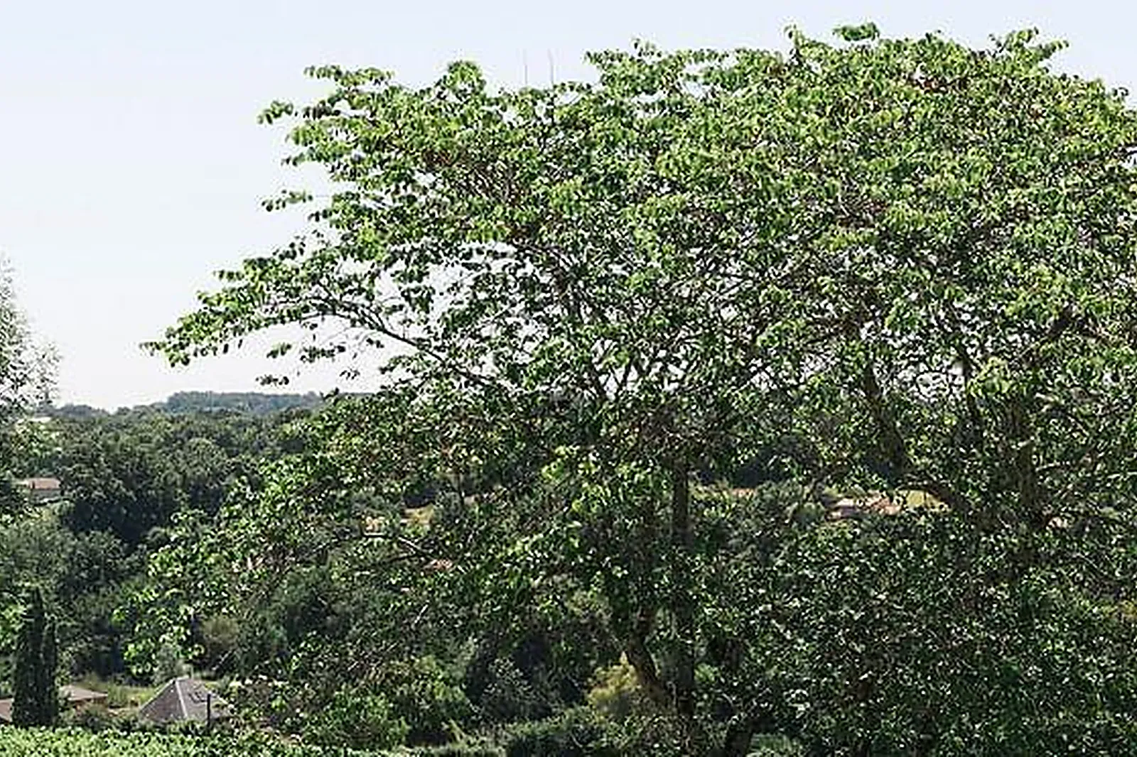 Lieux événementiels, CHÂTEAU DE LA LIGNE