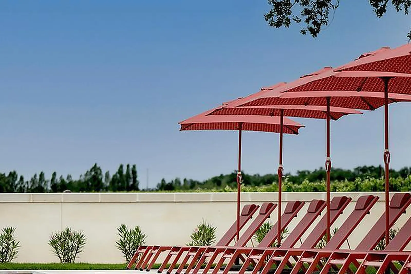 Lieux événementiels, CHÂTEAU FAGE LA MAISON DES VIGNES