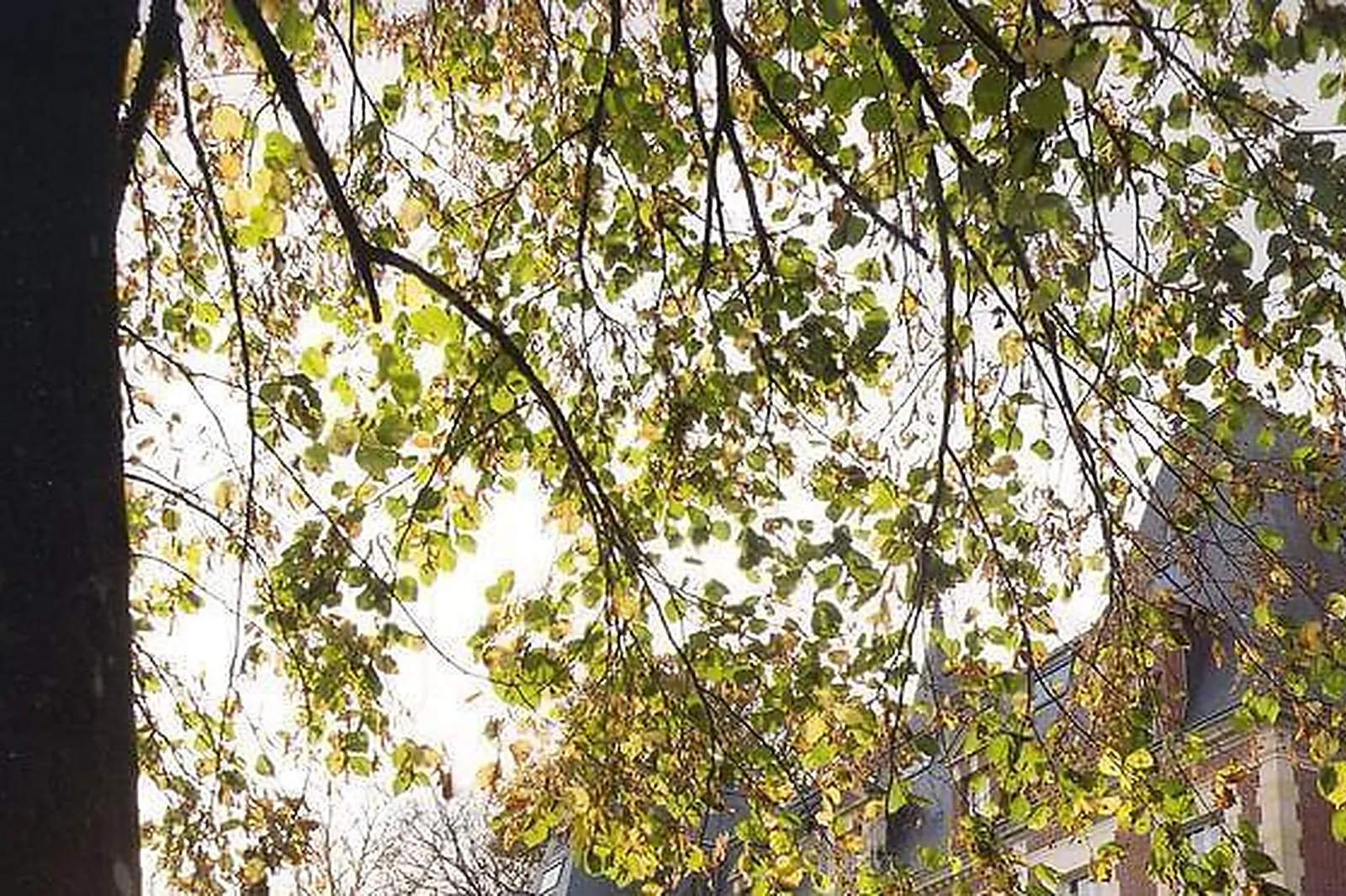 Lieux événementiels, DOXA - MANDEL