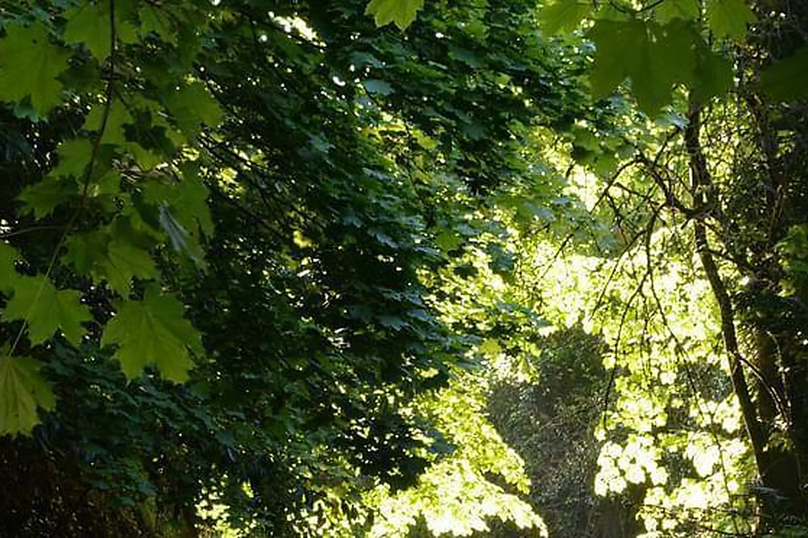 Lieux événementiels, CHÂTEAU LA TOUR LANDRY