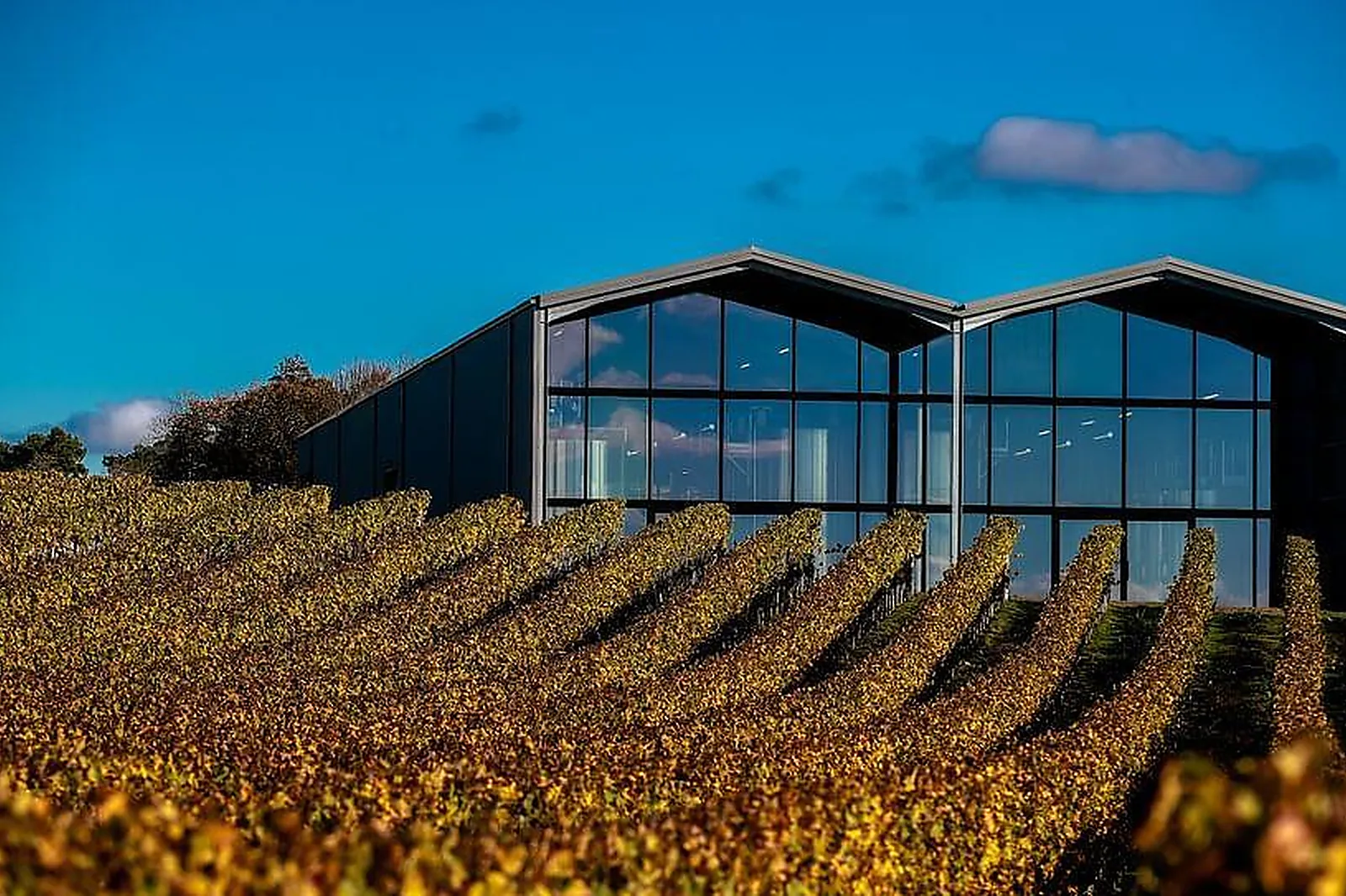 Lieux événementiels, CHÂTEAU LAUDUC