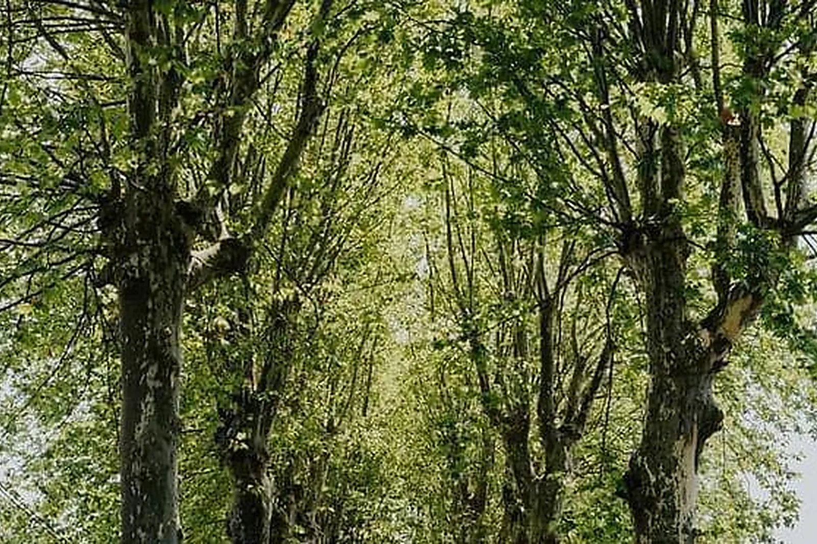 Lieux événementiels, CHÂTEAU MARITH ET SON ORANGERIE