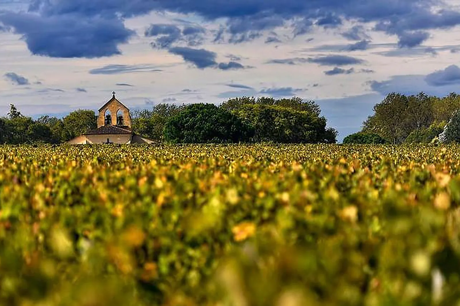 Lieux événementiels, SNAPDESK MALESHERBES