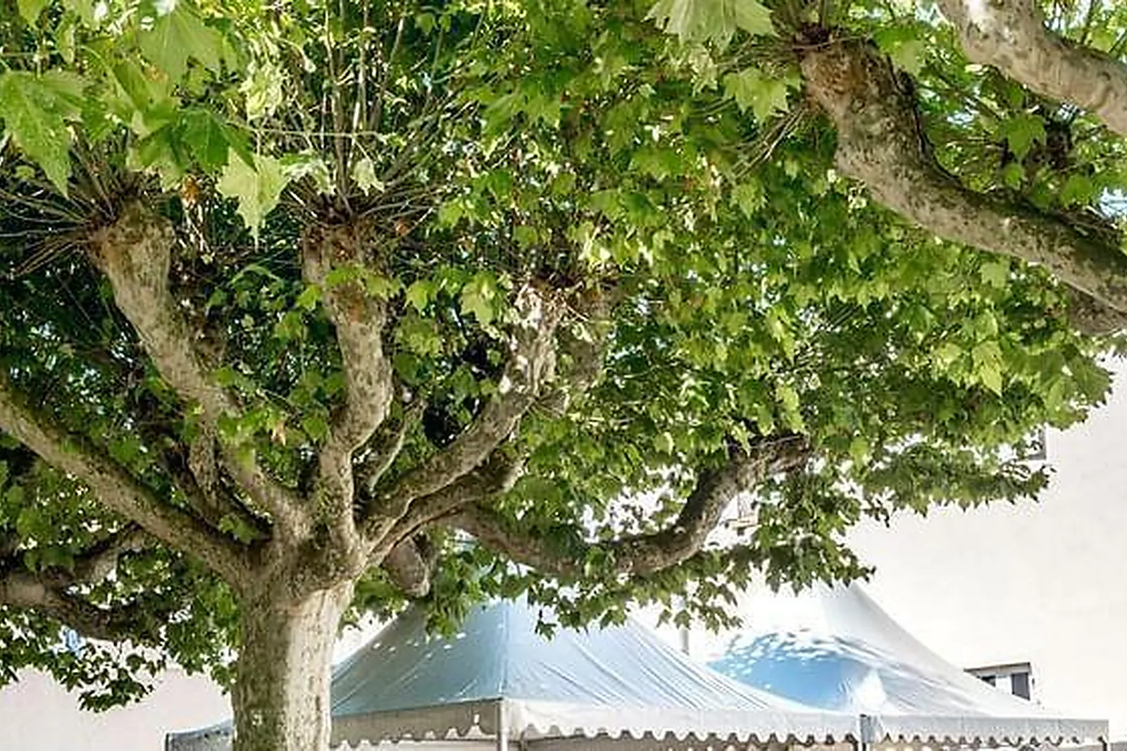 Lieux événementiels, ROUEN NORD MONT SAINT AIGNAN