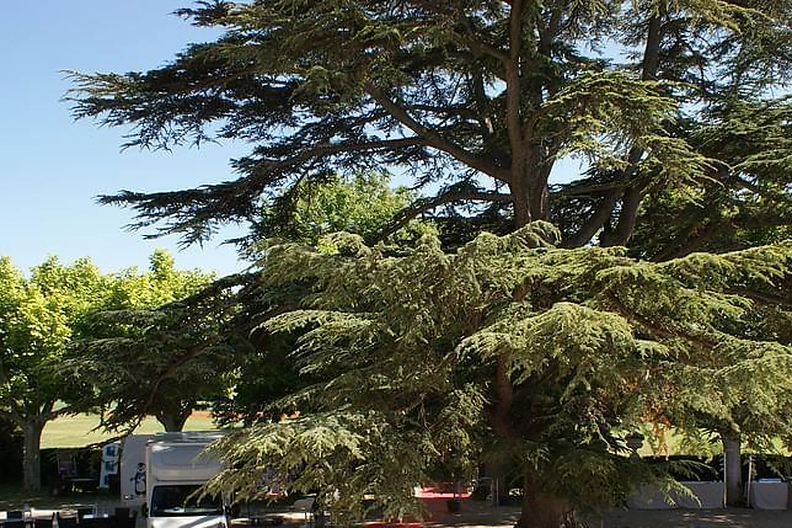 Lieux événementiels, CHÂTEAU D'ALPHÉRAN