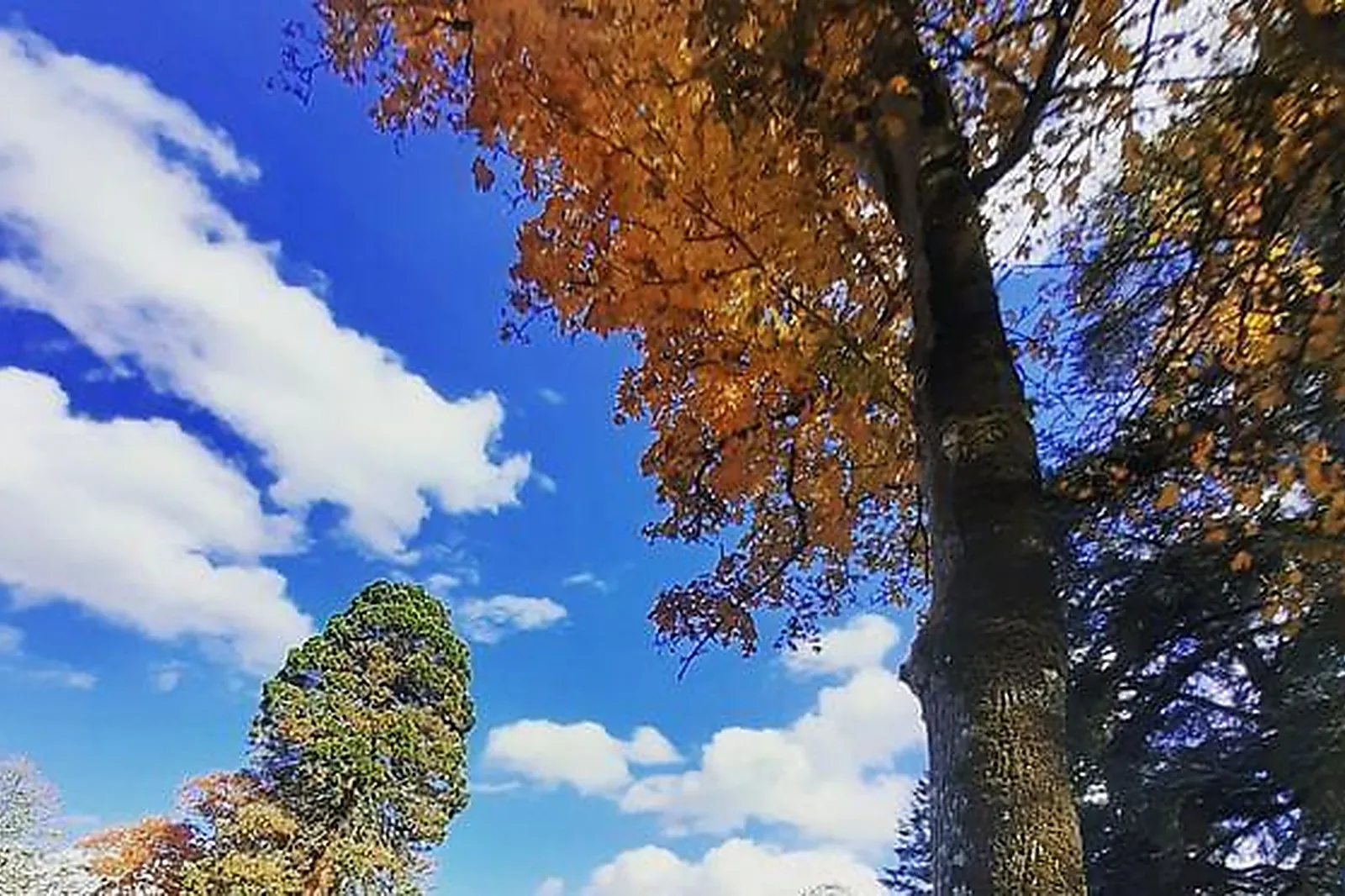 Lieux événementiels, CHÂTEAU D'AMENON