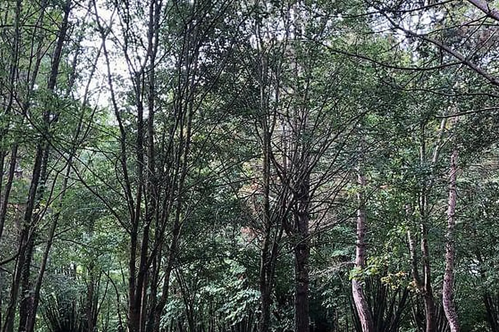 Lieux événementiels, CHÂTEAU D'ANDÉ