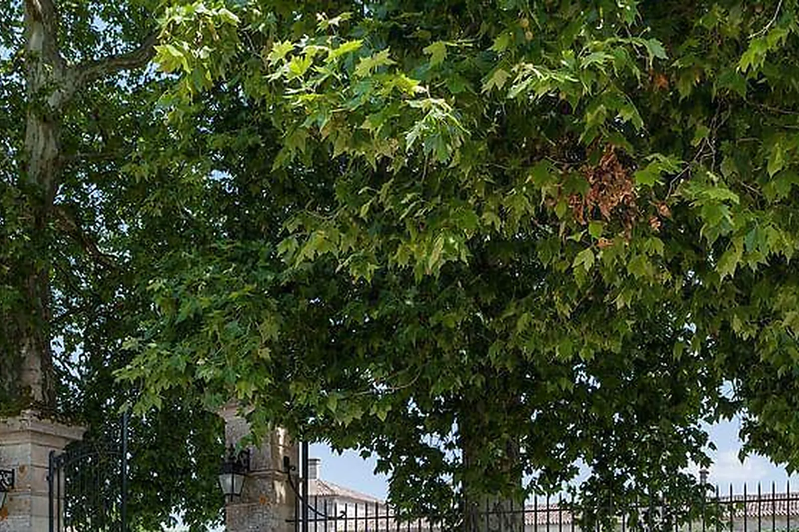 Lieux événementiels, CHÂTEAU D'ARCHE
