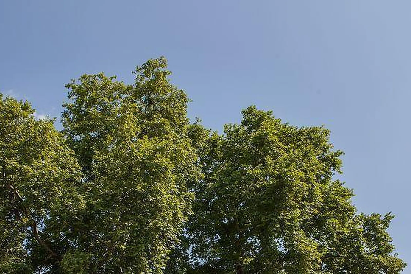 Lieux événementiels, CHÂTEAU D'ARCHE