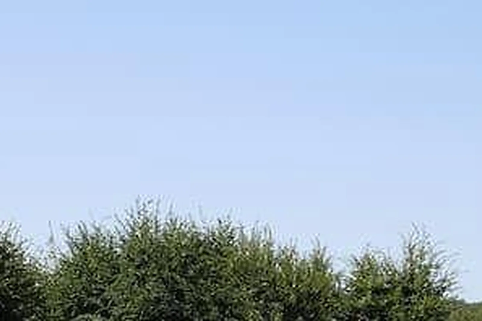 Lieux événementiels, LA SPHÈRE