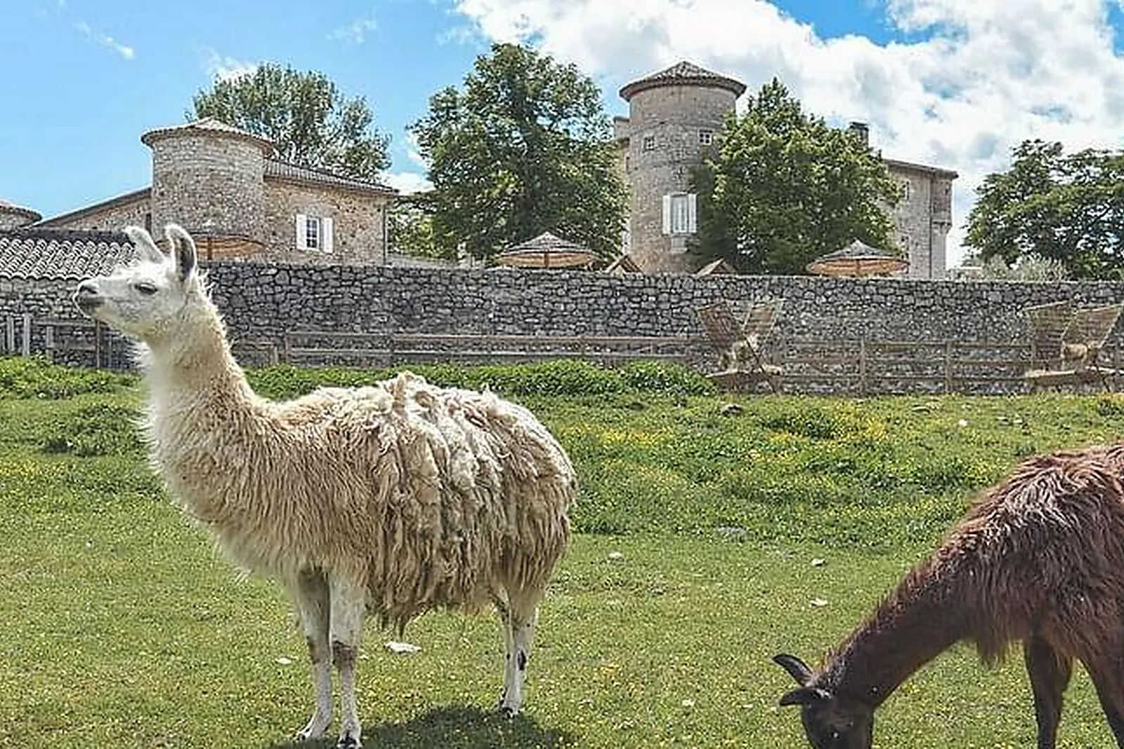 Lieux événementiels, CHÂTEAU DE CHAUSSY - VILLAGE DE GÎTES