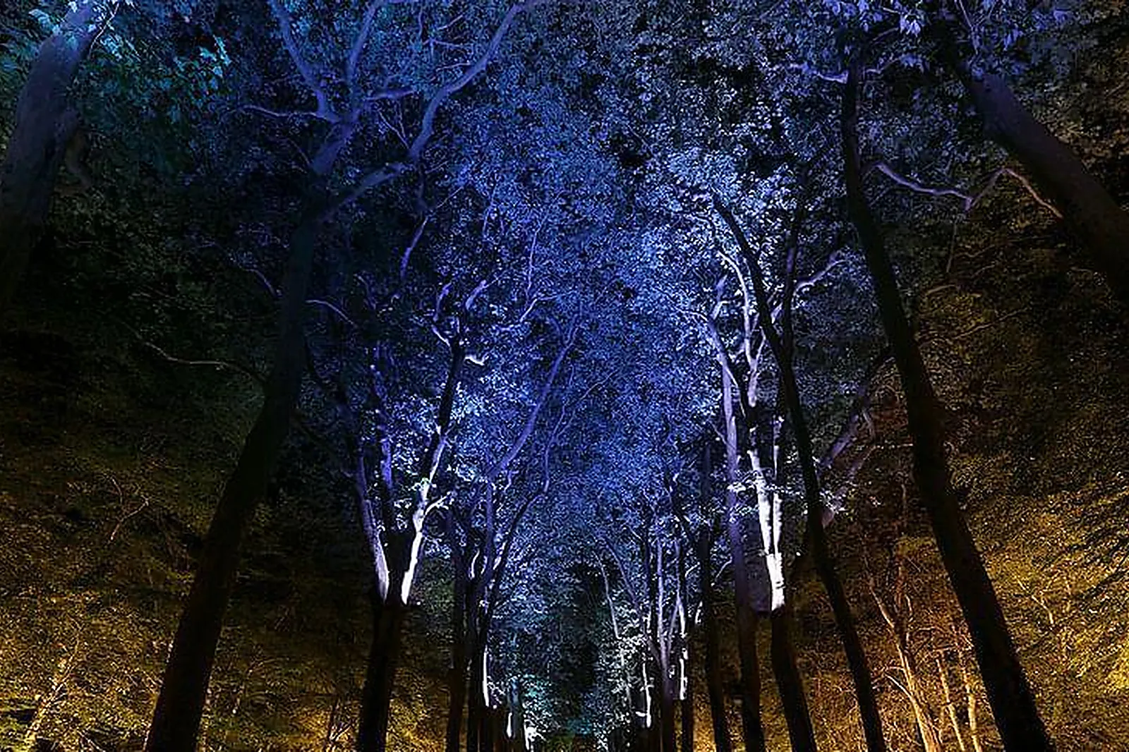 Lieux événementiels, MIJE