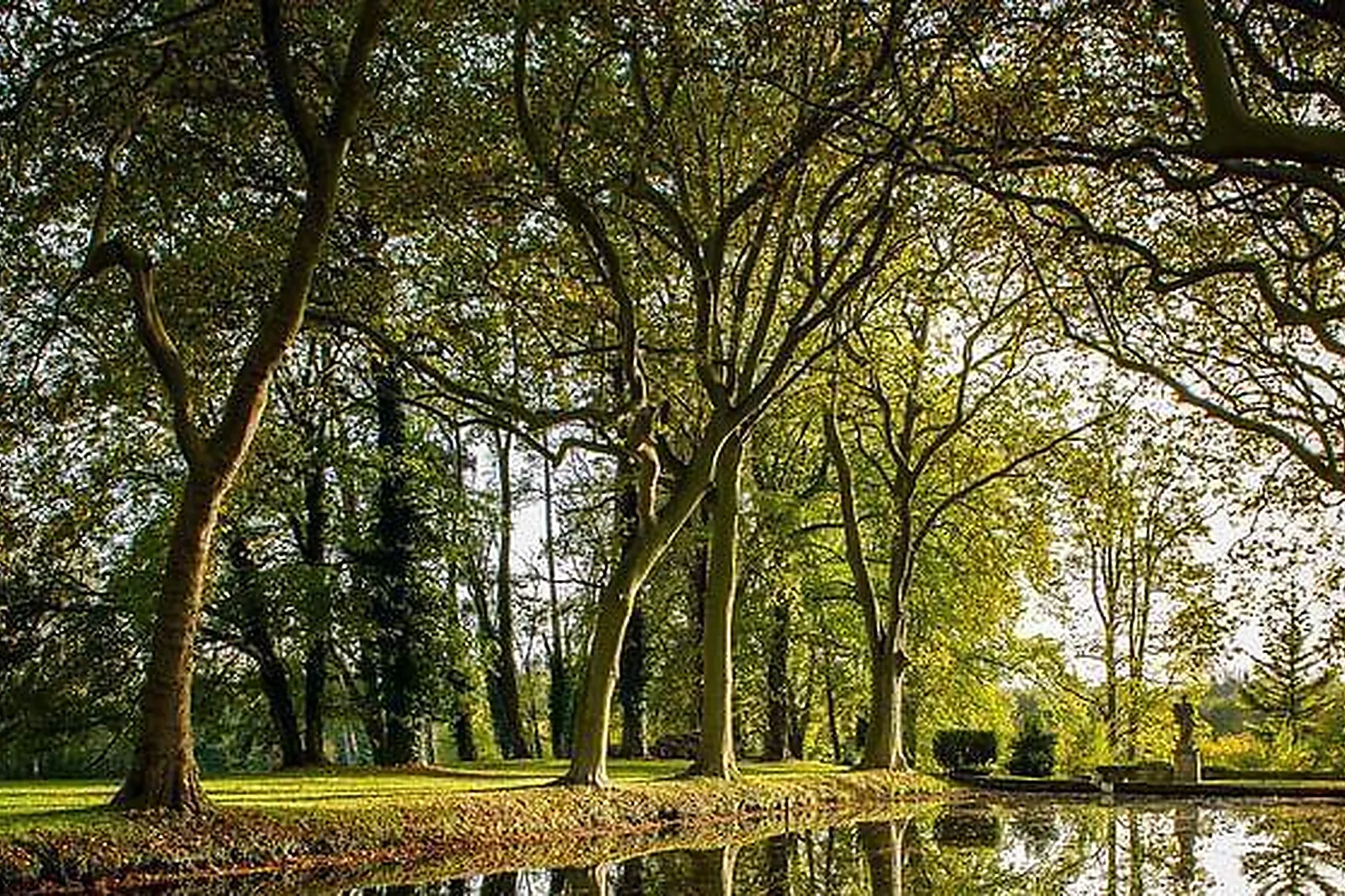 Lieux événementiels, BELCHICKEN LILLE