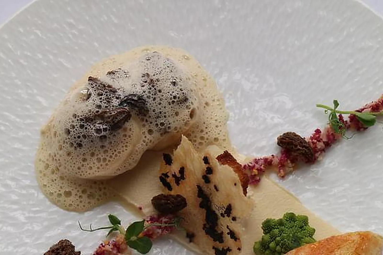 Lieux événementiels, BELCHICKEN LILLE