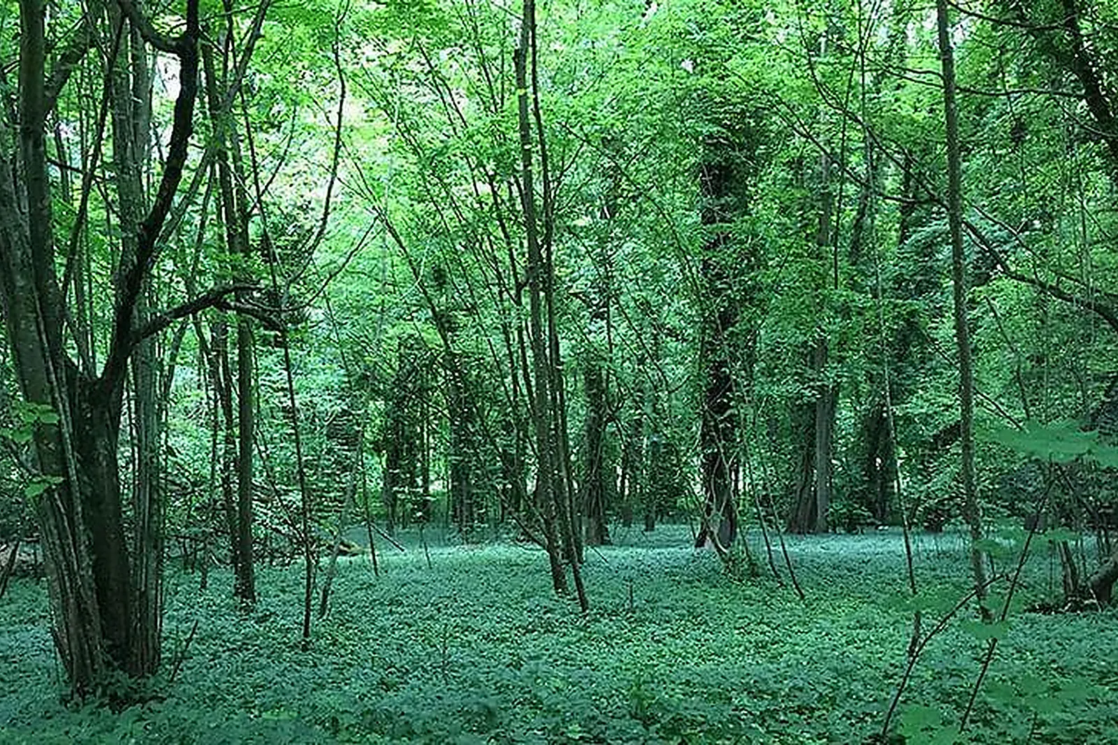Lieux événementiels, CHÂTEAU DE FOSSEUSE