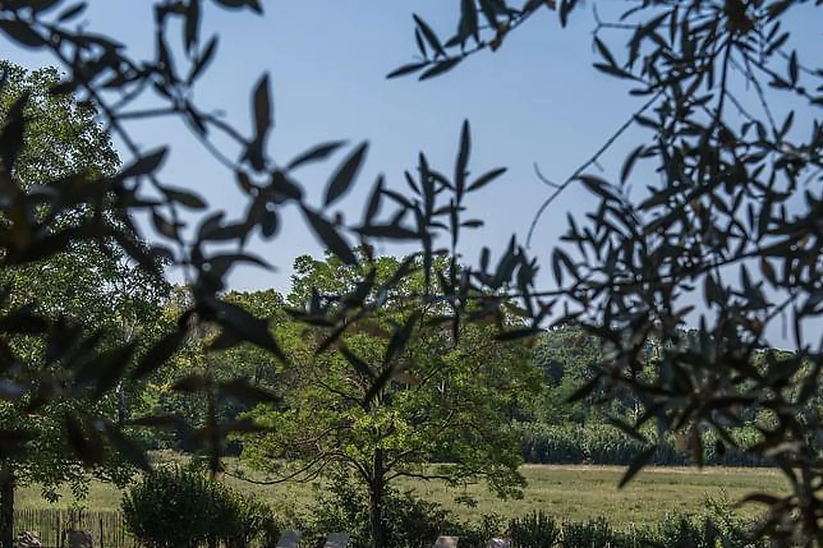 Lieux événementiels, CHÂTEAU DE MARTINAY
