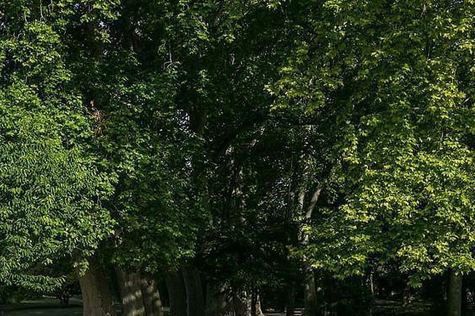 Lieux événementiels, CHÂTEAU DE MASSILLAN ****