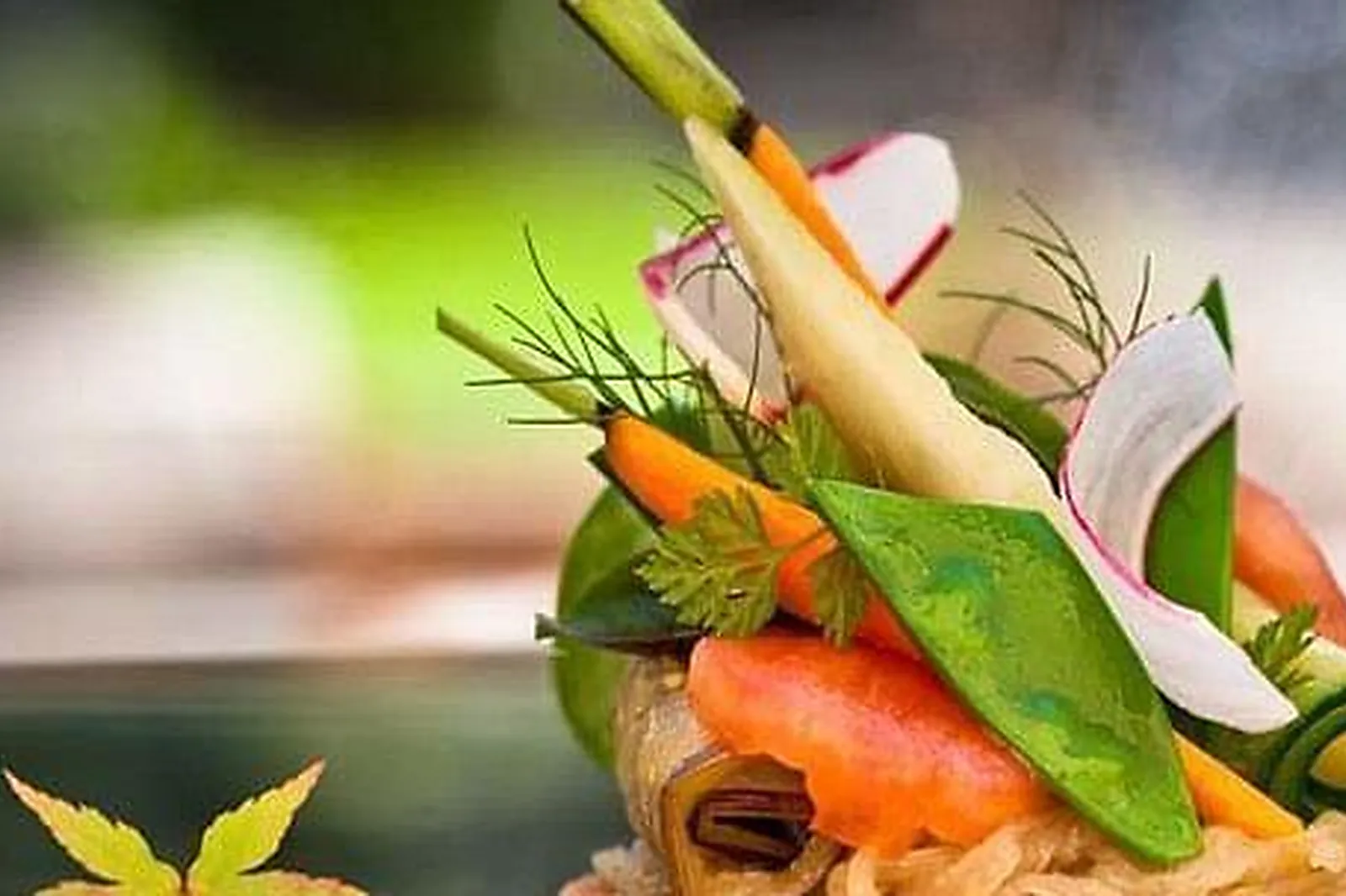 Lieux événementiels, CHÂTEAU DE MASSILLAN ****