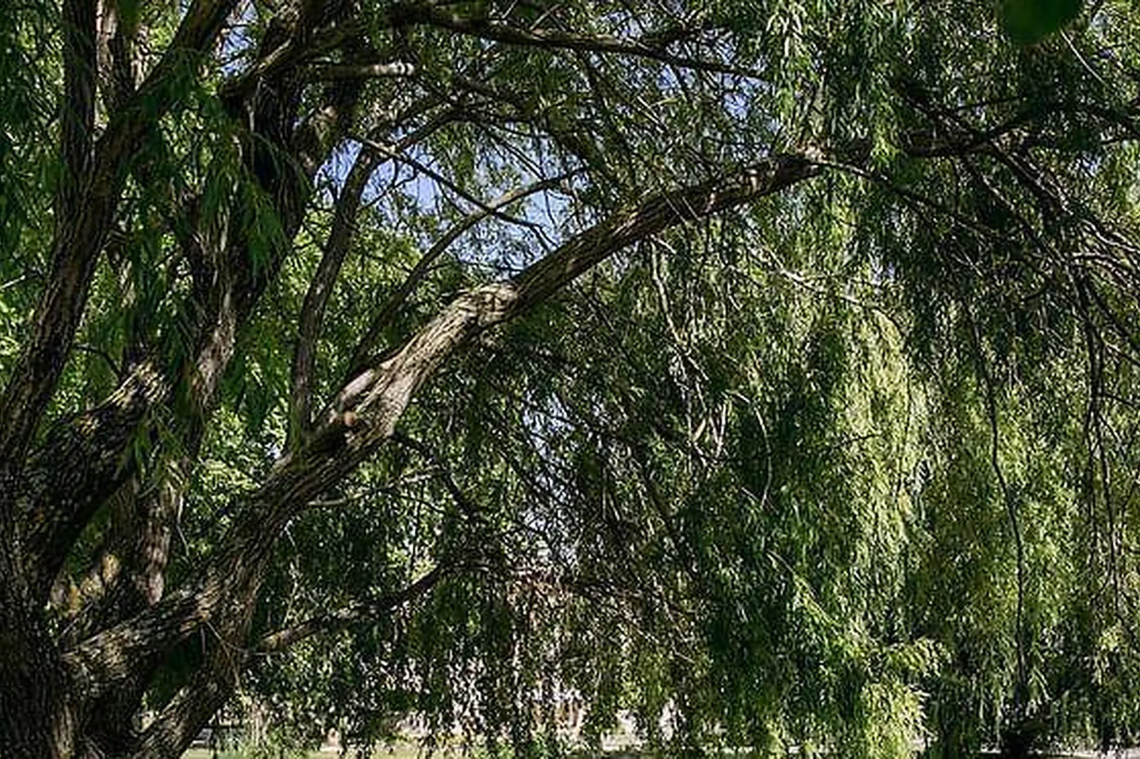 Lieux événementiels, CHÂTEAU DE MASSILLAN ****