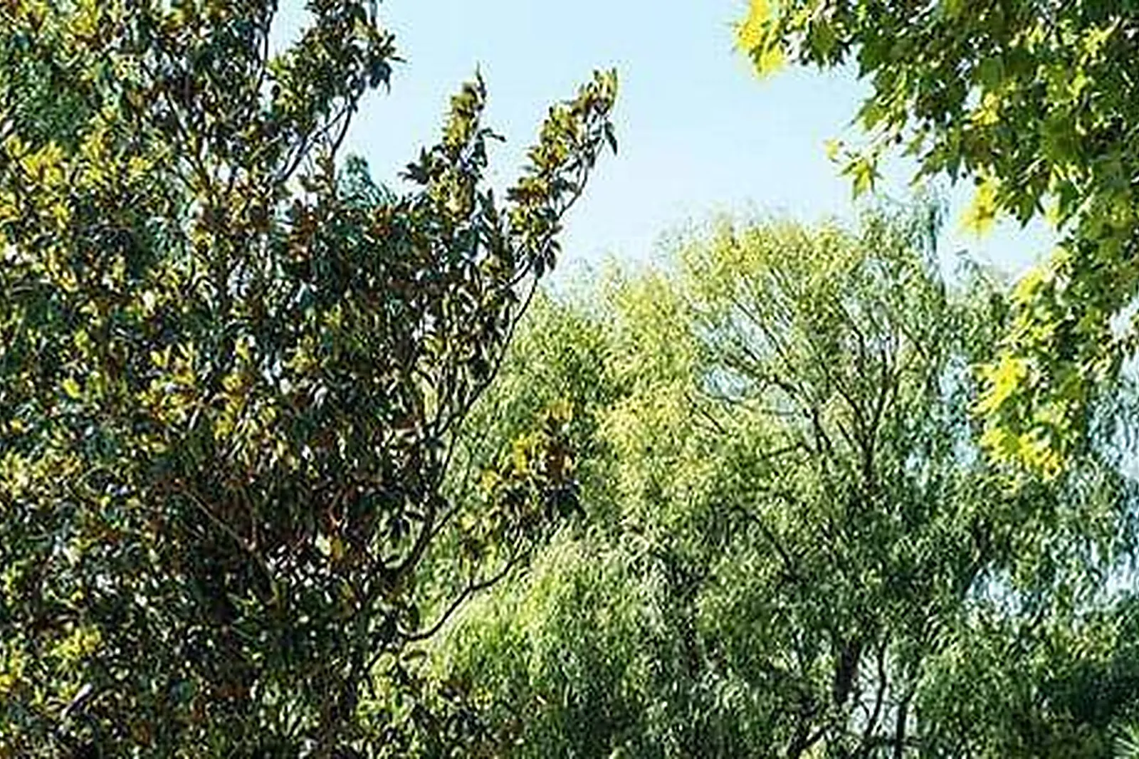 Lieux événementiels, CHÂTEAU DE MASSILLAN ****