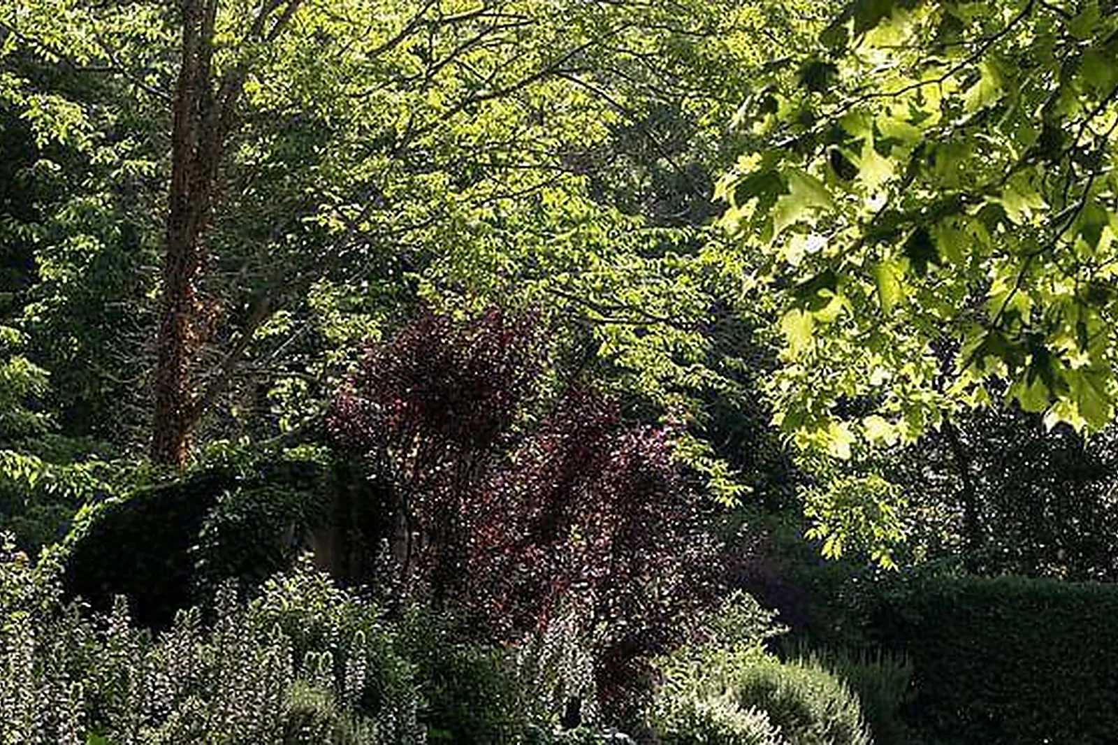 Lieux événementiels, CHÂTEAU DE MASSILLAN ****
