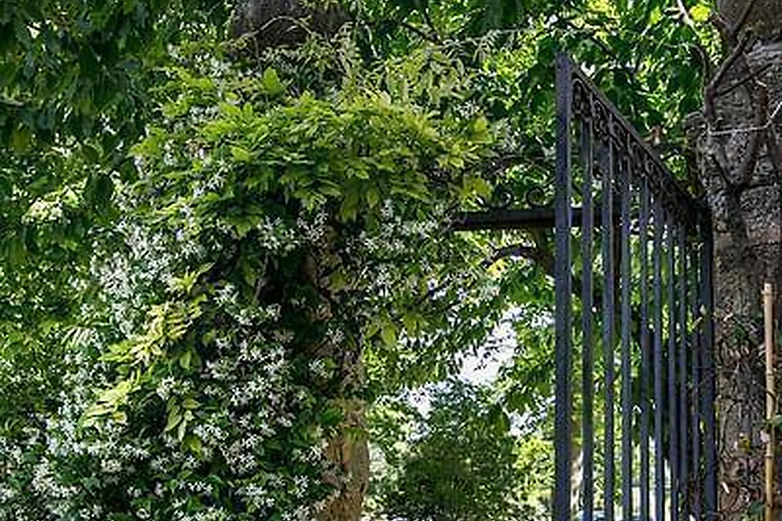Lieux événementiels, CHÂTEAU DE MASSILLAN ****