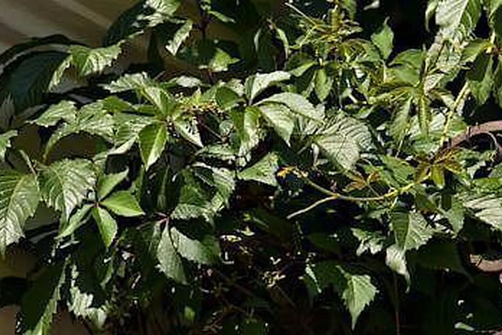 Lieux événementiels, SOFRADOM ABBÉ GROULT