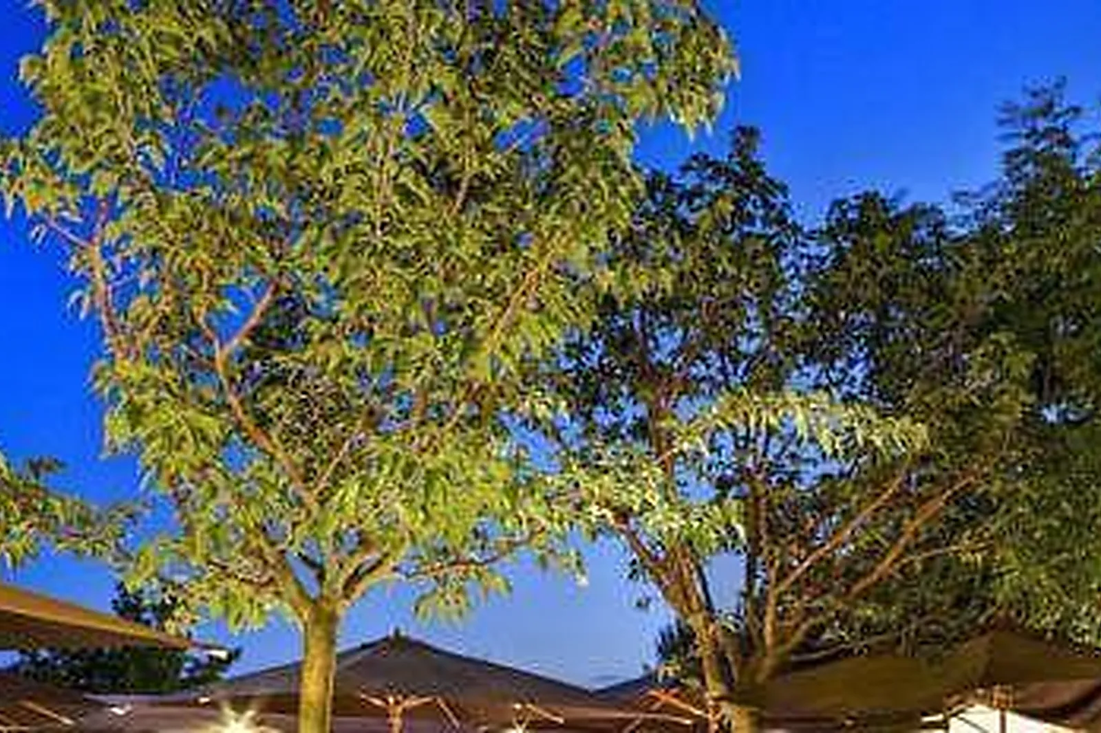 Lieux événementiels, SOFRADOM ABBÉ GROULT