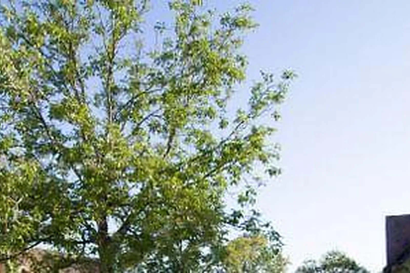 Lieux événementiels, CHÂTEAU DE MONFORT