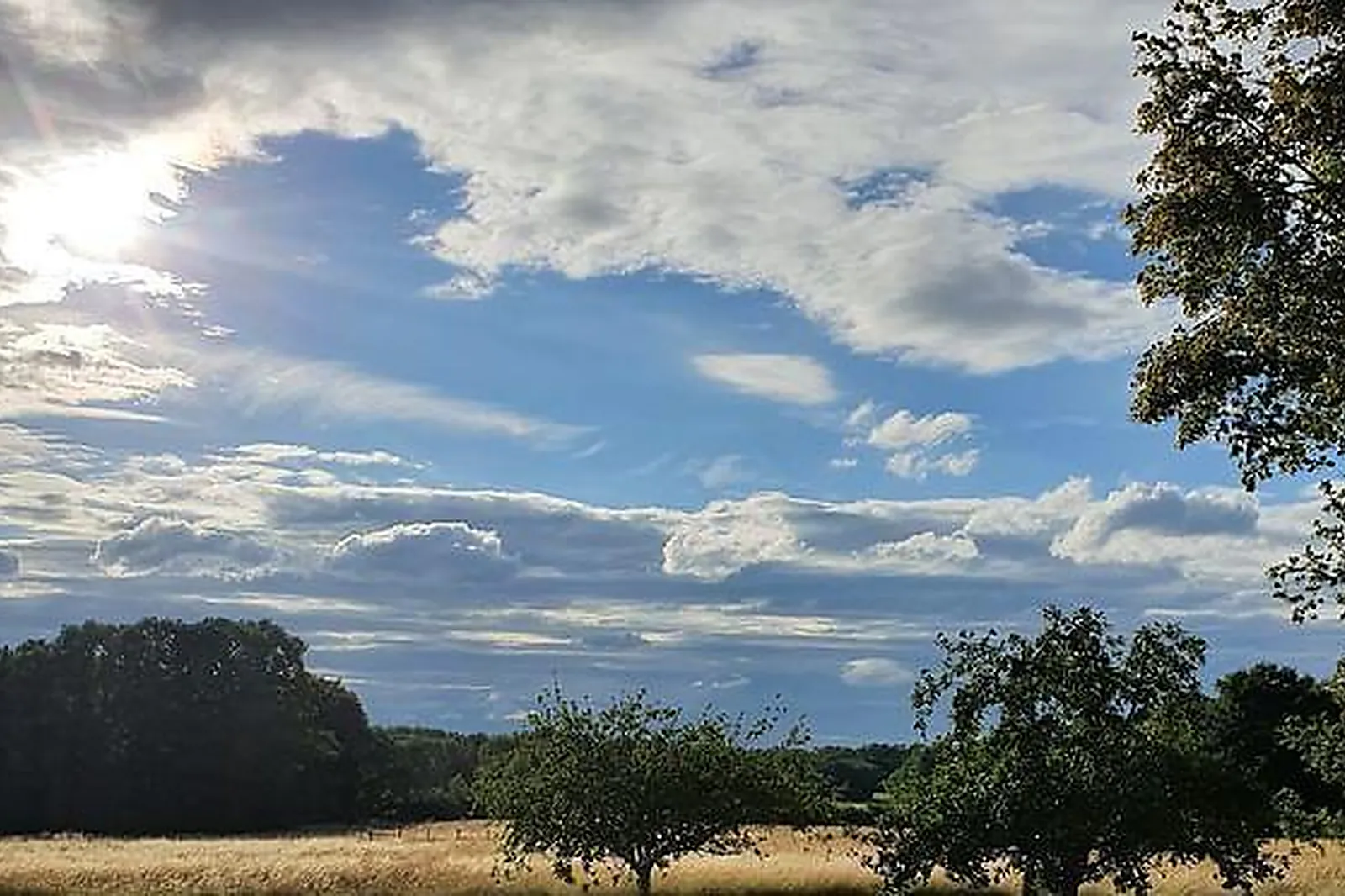 Lieux événementiels, CHÂTEAU DE MONFORT