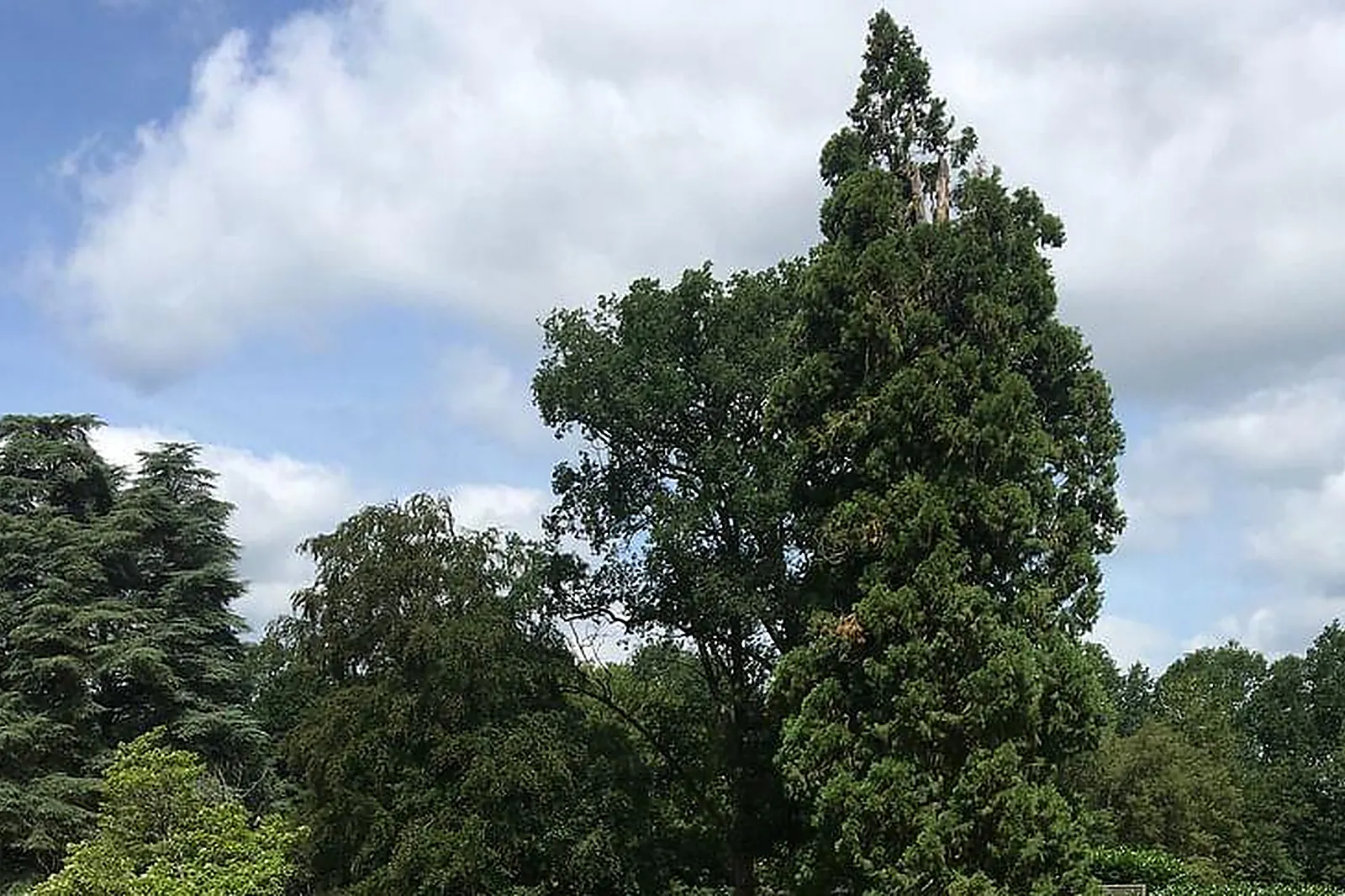 Lieux événementiels, CHÂTEAU DE MÉRIDON