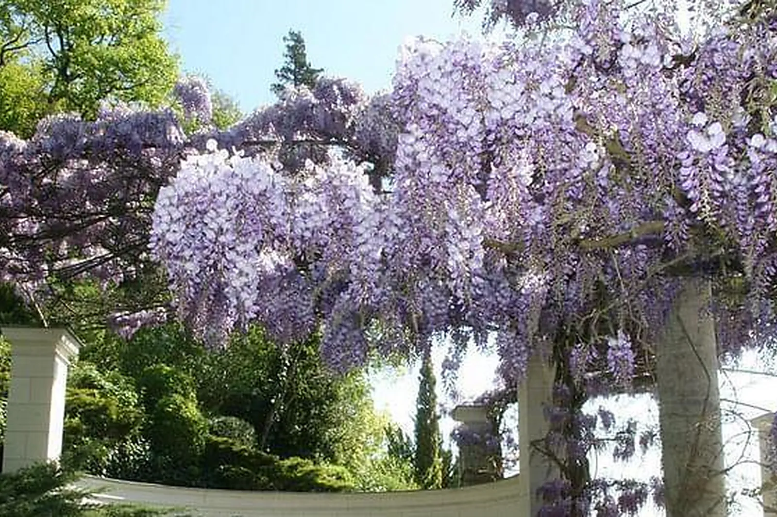 Lieux événementiels, ESPACE HILLEL