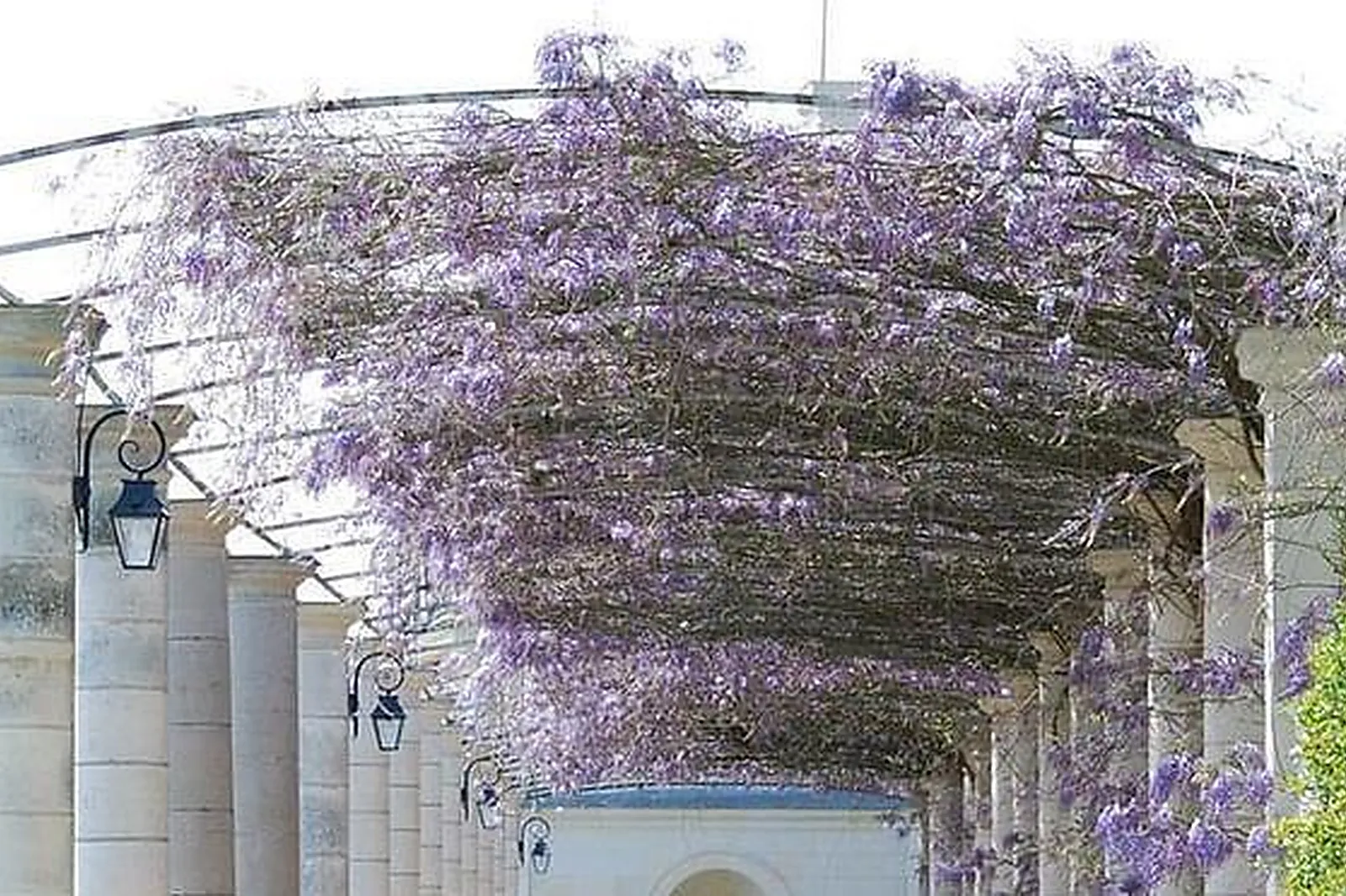 Lieux événementiels, ESPACE HILLEL