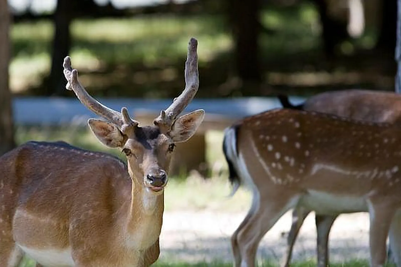 Lieux événementiels, INTERACTIF