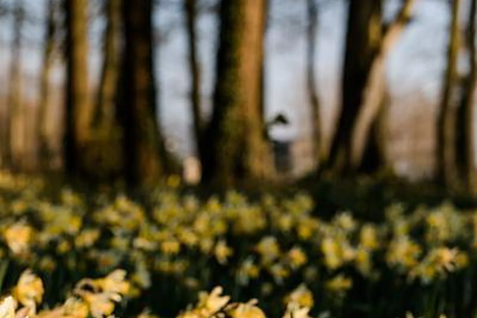 Lieux événementiels, CHÂTEAU DE SAINT CLAIR