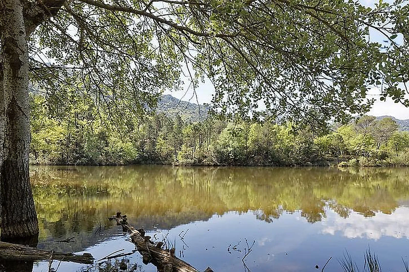 Lieux événementiels, CHÂTEAU DE L'ESCARELLE