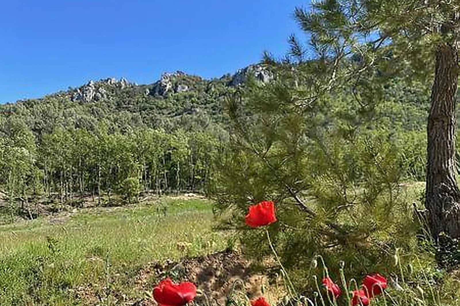 Lieux événementiels, CHÂTEAU DE L'ESCARELLE