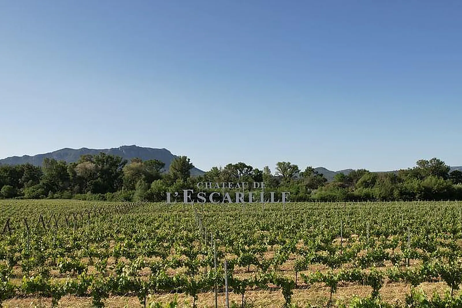 Lieux événementiels, CHÂTEAU DE L'ESCARELLE