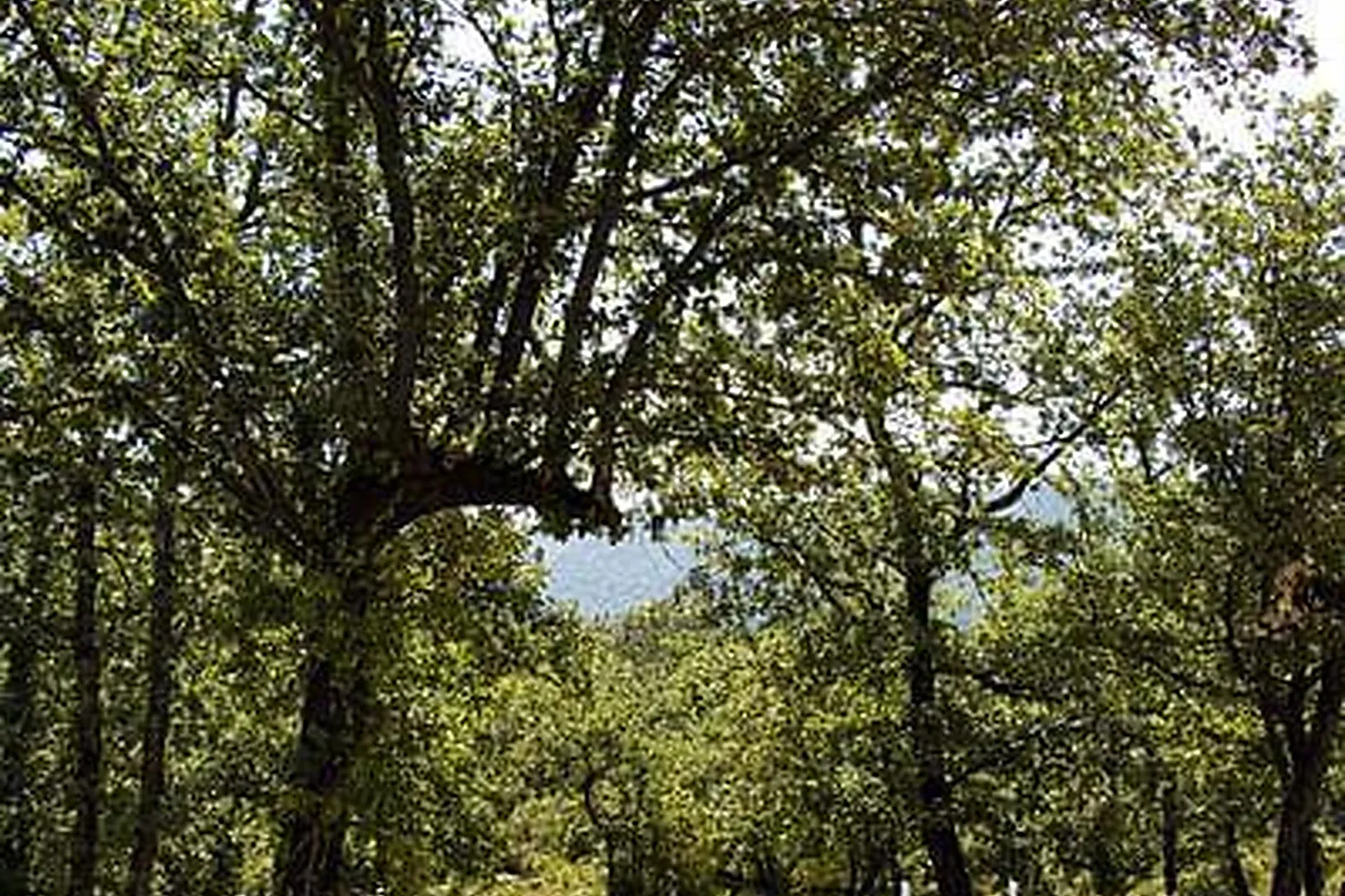 Lieux événementiels, CHÂTEAU DE L'ESCARELLE