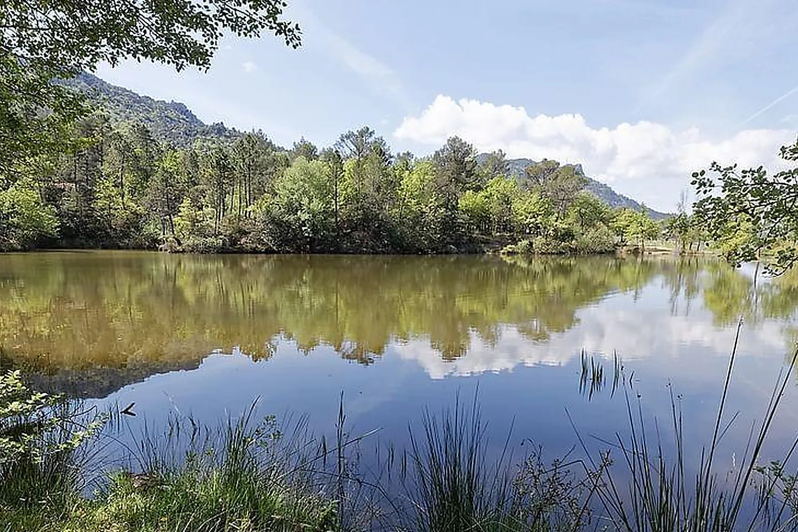 Lieux événementiels, CHÂTEAU DE L'ESCARELLE