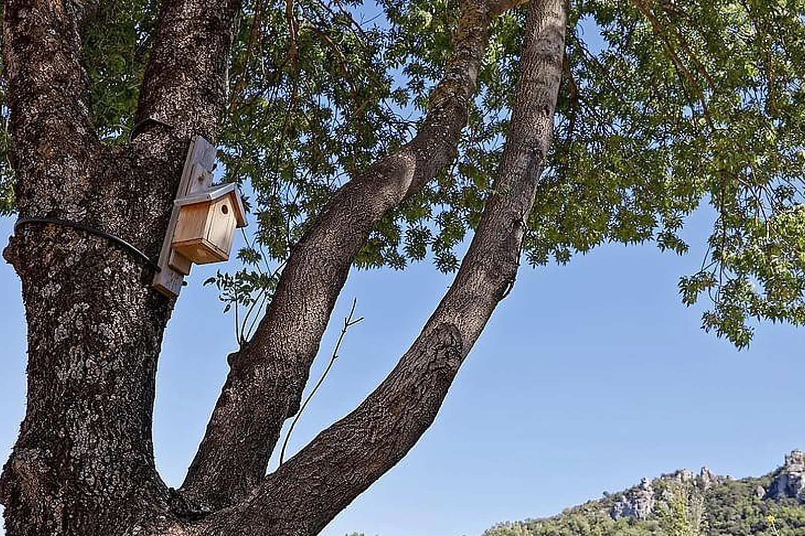 Lieux événementiels, CHÂTEAU DE L'ESCARELLE