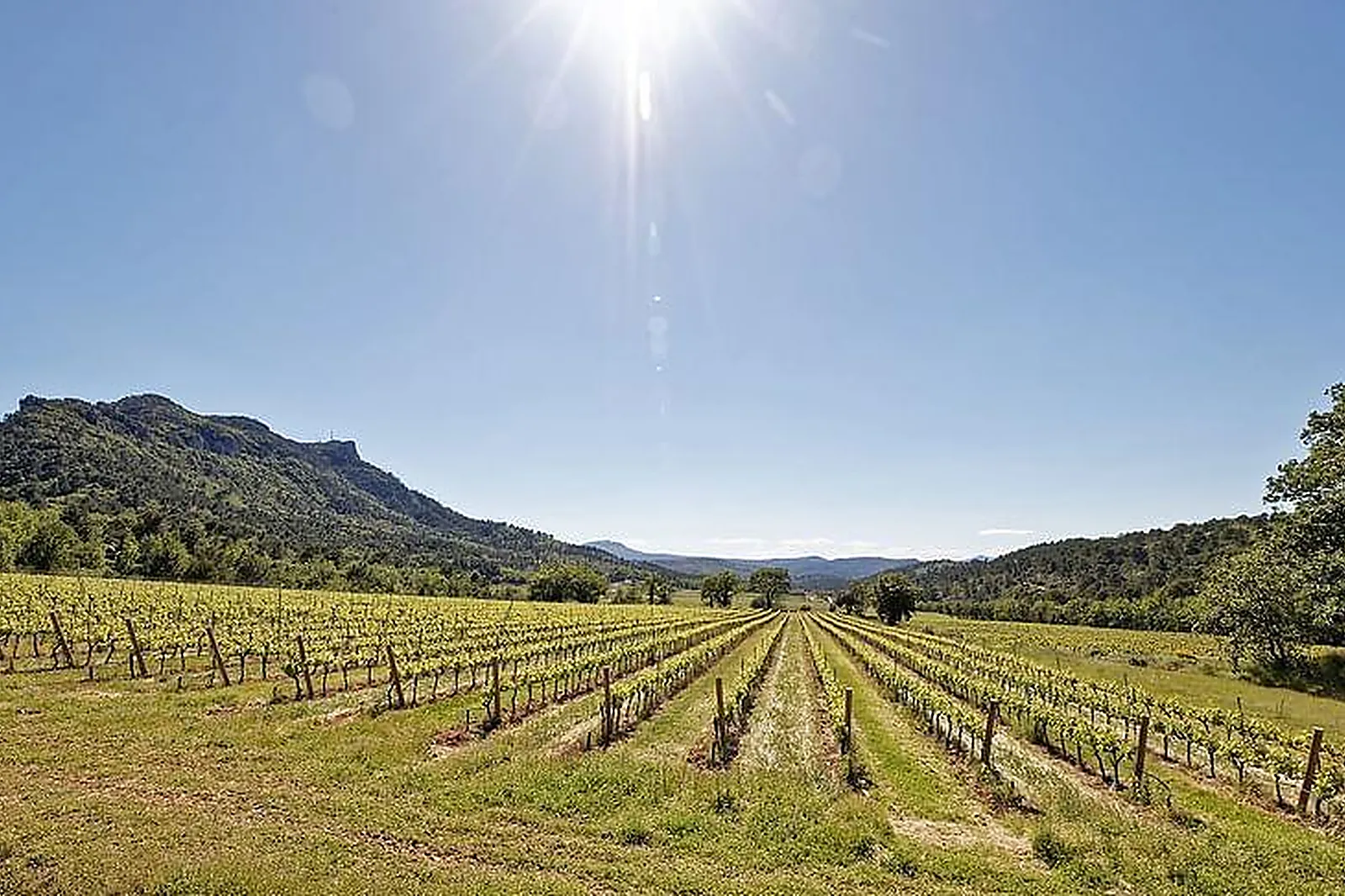 Lieux événementiels, CHÂTEAU DE L'ESCARELLE