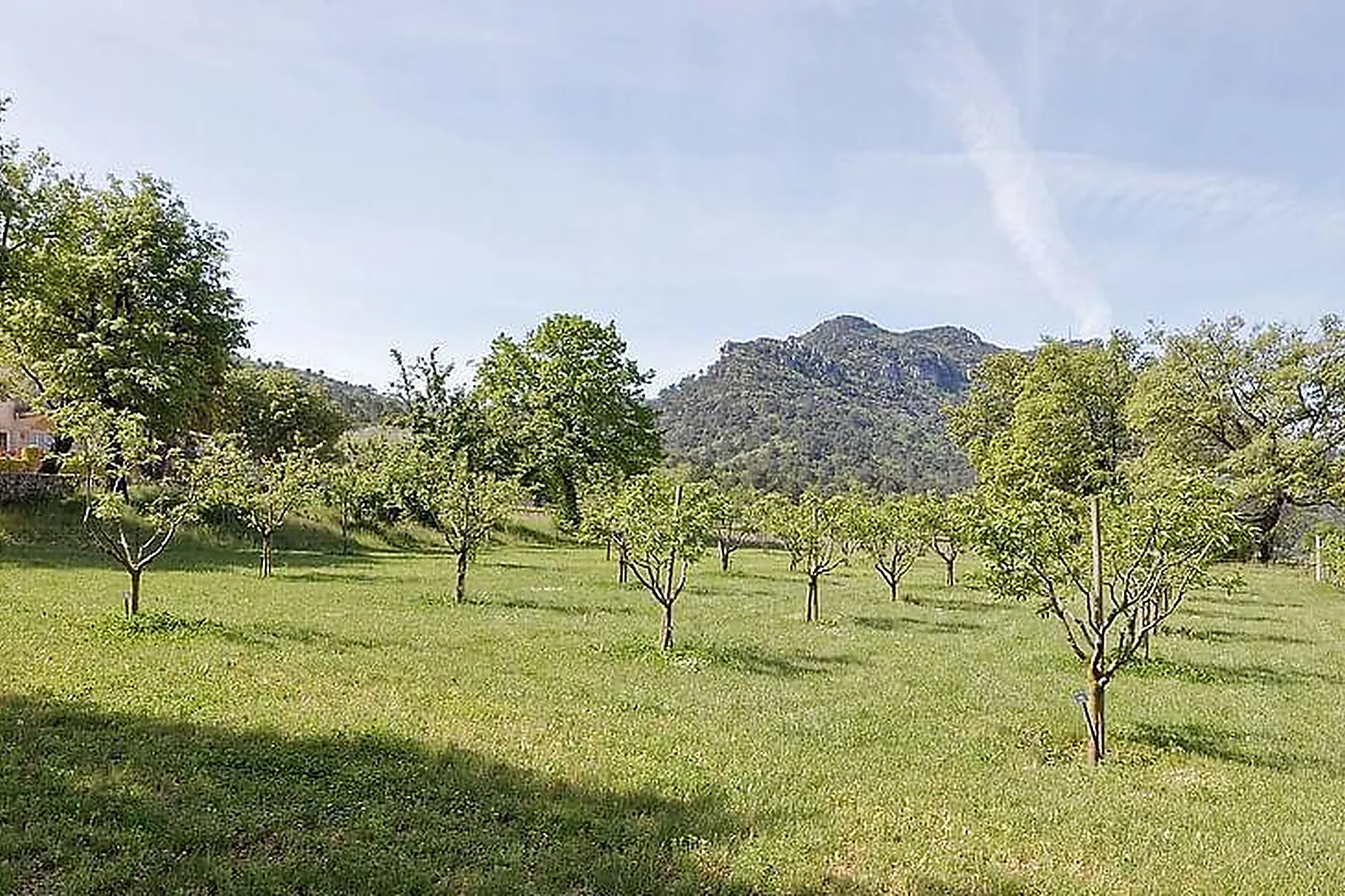 Lieux événementiels, CHÂTEAU DE L'ESCARELLE