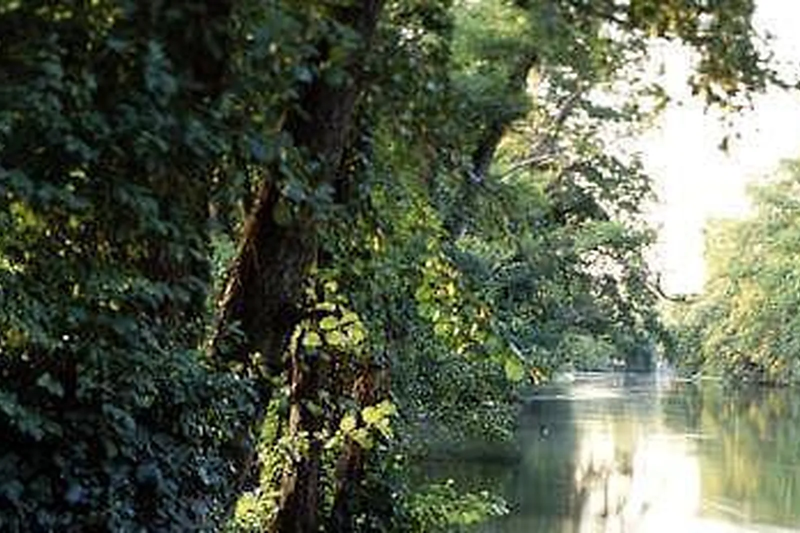 Lieux événementiels, CHÂTEAU DE L'ILE *****
