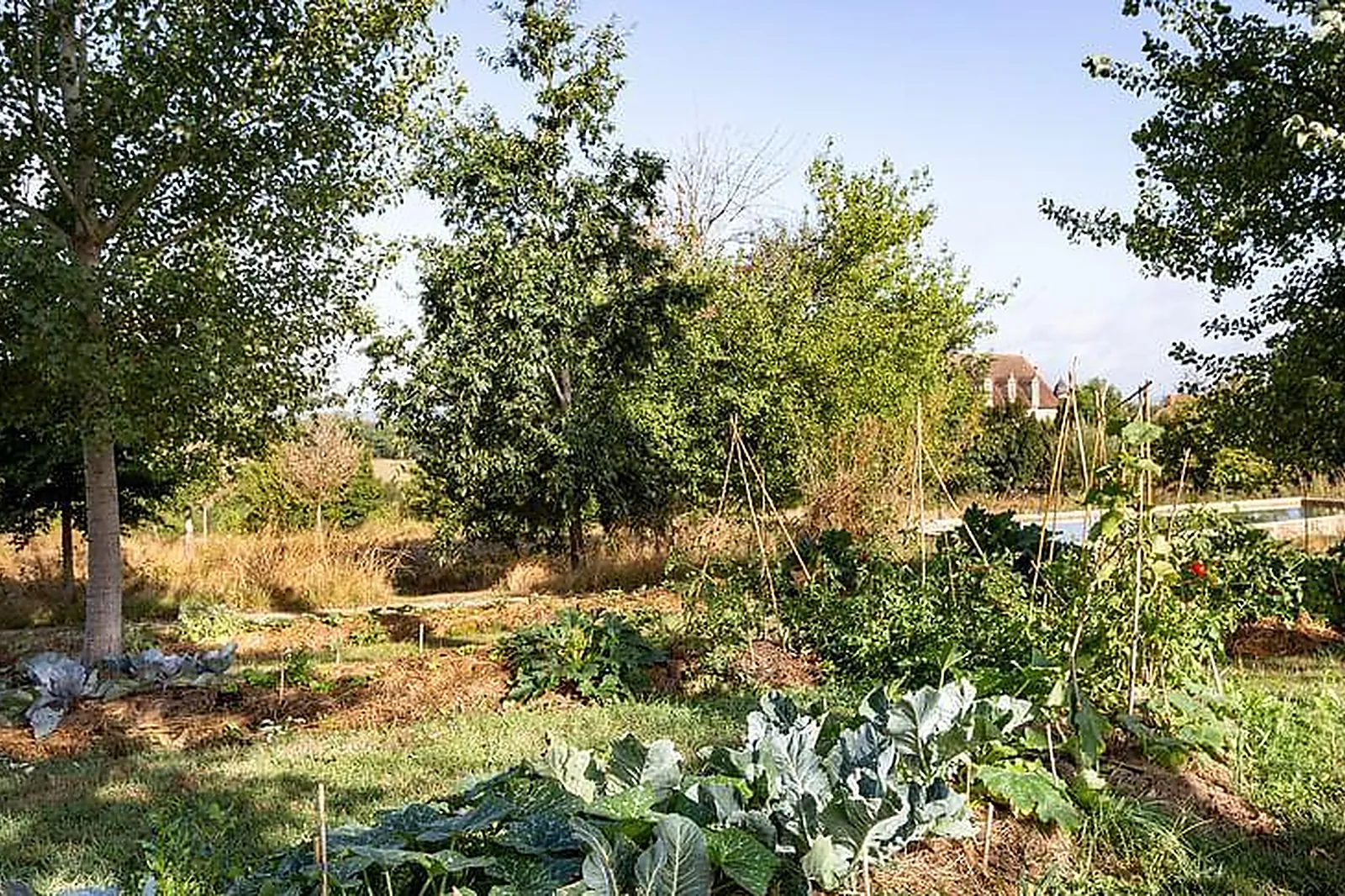 Lieux événementiels, CHÂTEAU DE LA BORIE