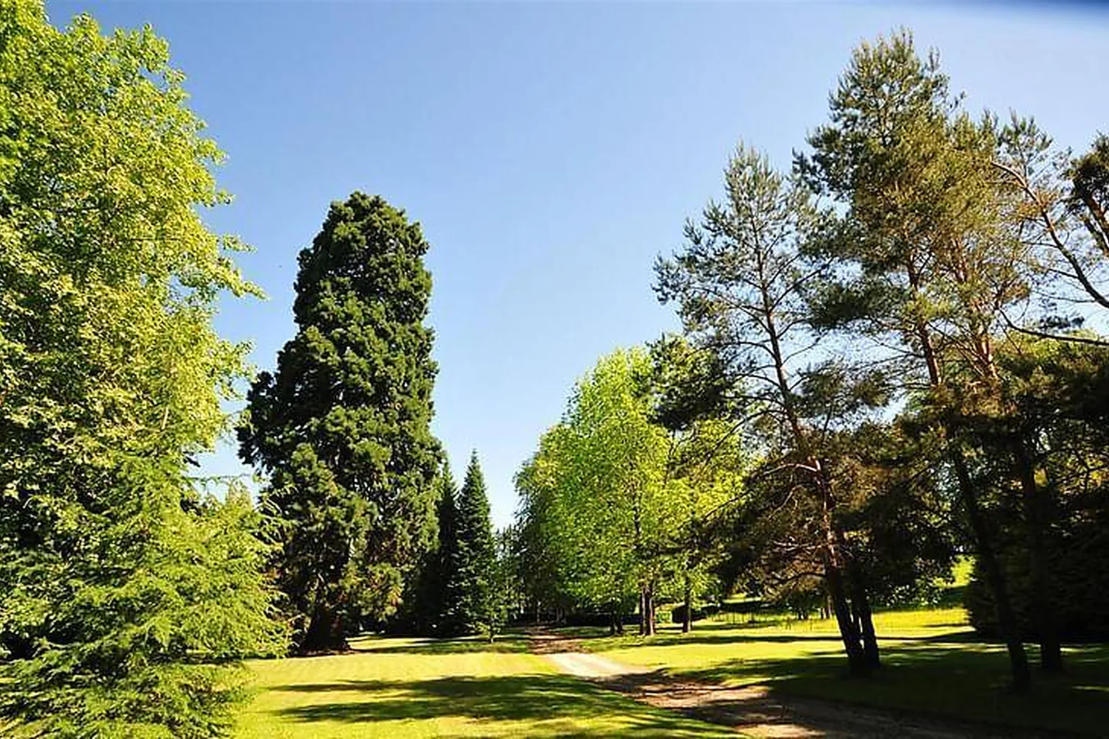 Lieux événementiels, RUE DU BOUQUET DE LONGCHAMP PARIS