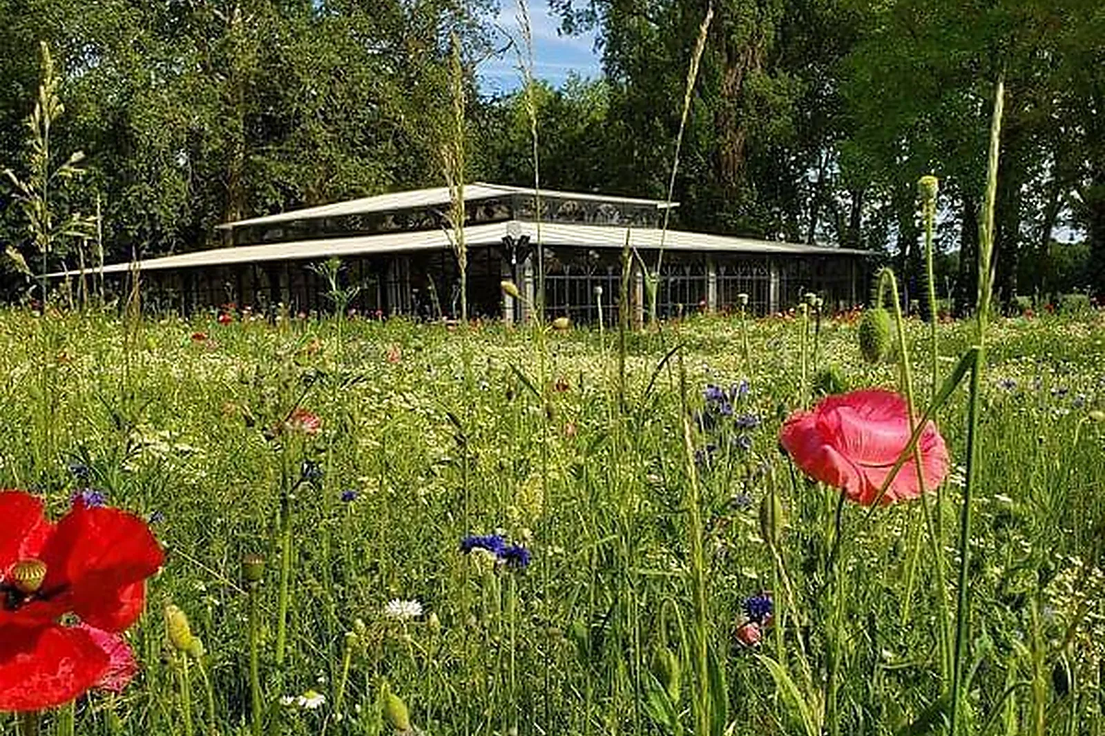 Lieux événementiels, CHÂTEAU DE LA MOTHE CHANDENIERS