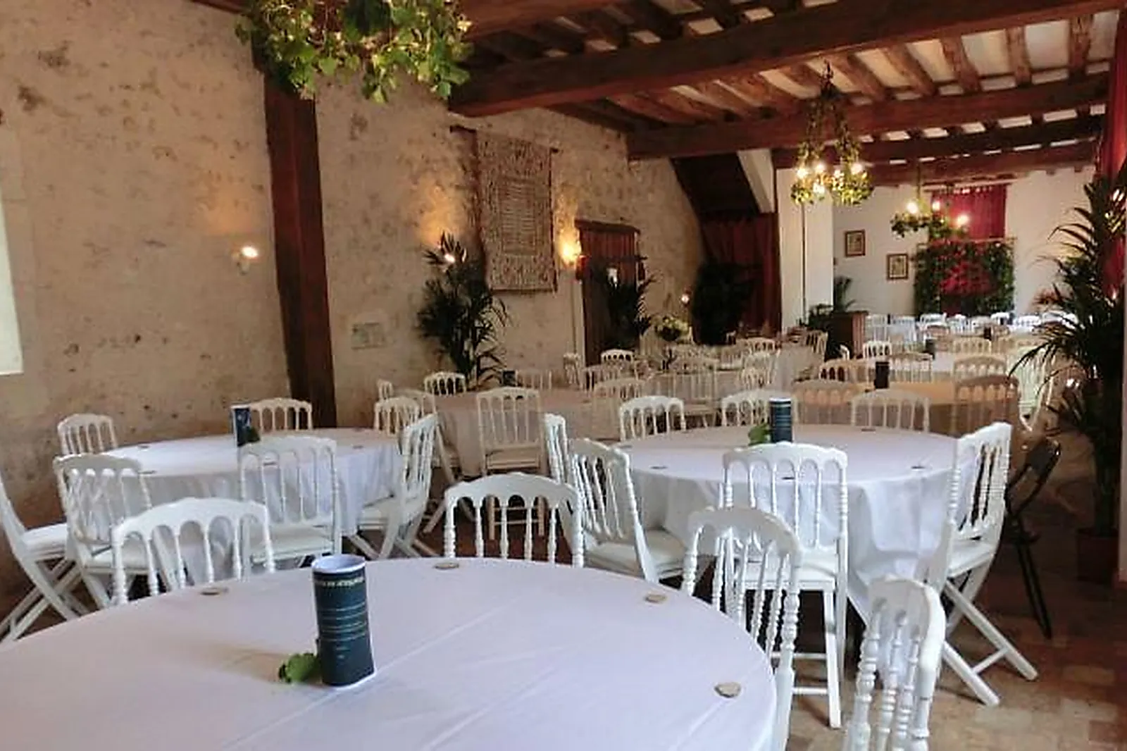 Lieux événementiels, CHÂTEAU DE LA MÉZIÈRE