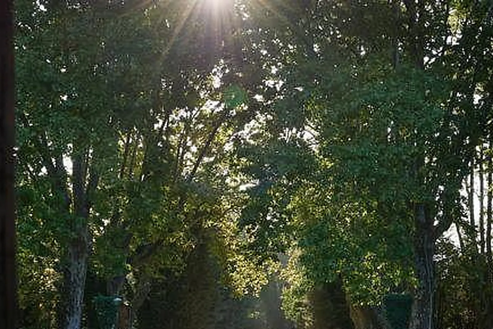 Lieux événementiels, ESPACE LE MOULIN